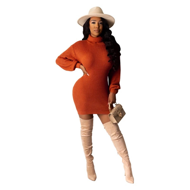 Cozy Babe Turtleneck Sweater Dress – Le Royale Collection. Inc Boutique